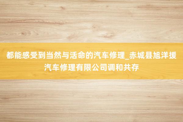 都能感受到当然与活命的汽车修理_赤城县旭洋援汽车修理有限公司调和共存
