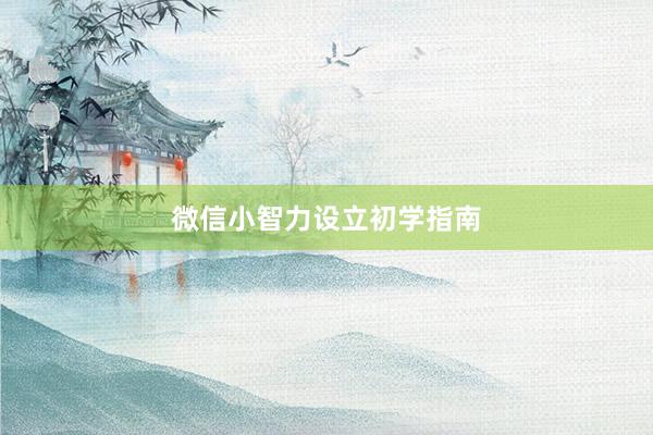 微信小智力设立初学指南