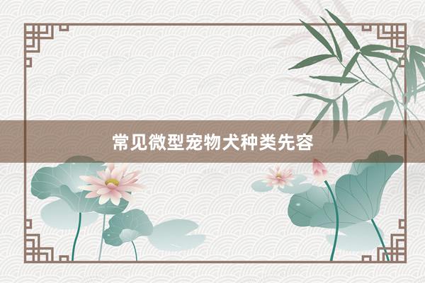 常见微型宠物犬种类先容