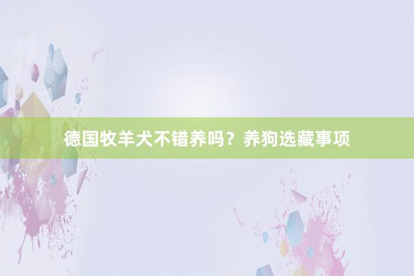 德国牧羊犬不错养吗?养狗选藏事项