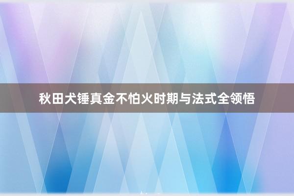 秋田犬锤真金不怕火时期与法式全领悟