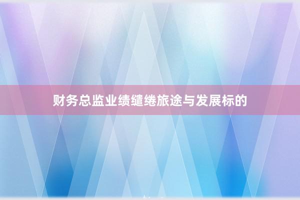 财务总监业绩缱绻旅途与发展标的